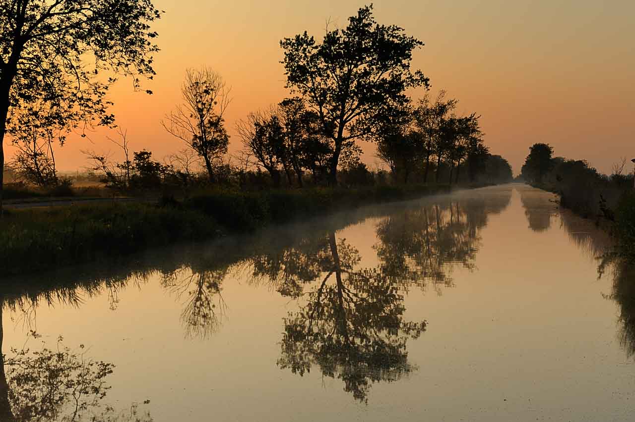 Cette photographie réalisée dans les marais de Beaugeay en Charente-Maritime était la master piece d'une exposition. Photographie créée pour un livre. Photographie par Amar Guillen, artiste photographe.